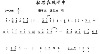 相思在风雨中_通俗唱法乐谱_词曲: