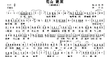 花山 葩莱_通俗唱法乐谱_词曲:陆永生 林中