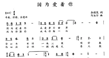 因为爱着你_通俗唱法乐谱_词曲:岳颖茂 阿汝汗