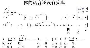 你的诺言还没有兑现_通俗唱法乐谱_词曲:冯慧青 方翔