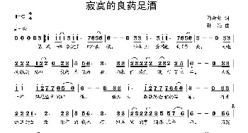 寂寞的良药就是酒_通俗唱法乐谱_词曲:乃舍分 孙浪