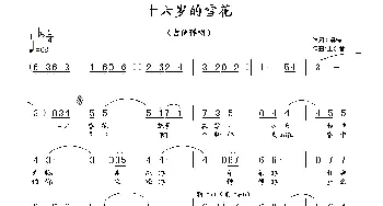 十六岁的雪花_通俗唱法乐谱_词曲:吴萍 王东音