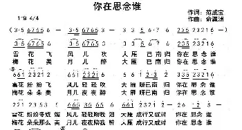 你在思念谁_通俗唱法乐谱_词曲:范成宝 俞瀛洲