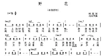 野花_通俗唱法乐谱_词曲:田震 刘利君