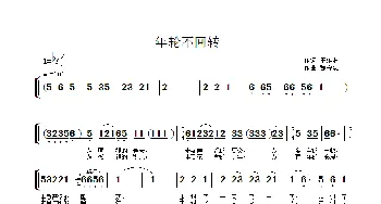 年轮不回转_通俗唱法乐谱_词曲:王维林 魏守忠