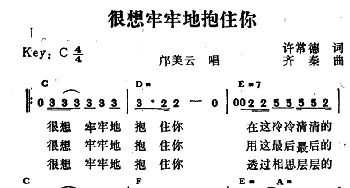 很想牢牢地抱住你_通俗唱法乐谱_词曲:许常德 齐秦