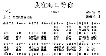 我在海口等你_通俗唱法乐谱_词曲:徐环宙 张朱论