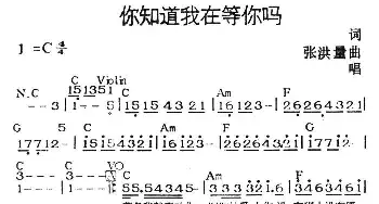 你知道我在等你吗_通俗唱法乐谱_词曲:张洪量 张洪量