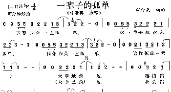 一辈子的孤单_通俗唱法乐谱_词曲:深白色 深白色