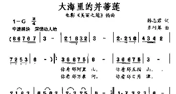 大海里的并蒂莲_通俗唱法乐谱_词曲:韩志君 齐巧荔