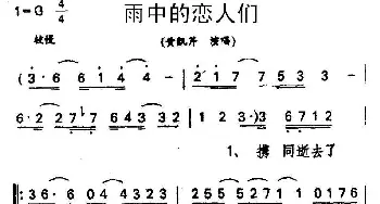 雨中的恋人们_通俗唱法乐谱_词曲:简宁