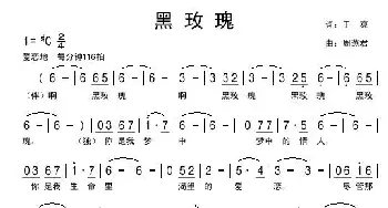 黑玫瑰_通俗唱法乐谱_词曲:于爽（清澜） 周燕君