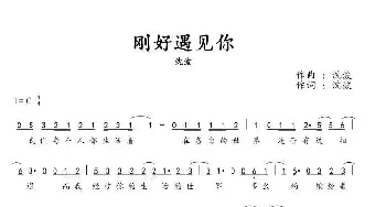 刚好遇见你_通俗唱法乐谱_词曲:沈波 沈波