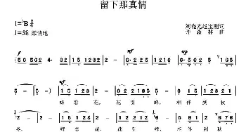 留下那真情_通俗唱法乐谱_词曲:刘晓光 赵宝刚 许森林