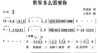 世界多么需要你_通俗唱法乐谱_词曲:司传和 王光兴