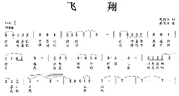 飞翔_通俗唱法乐谱_词曲:梁国华 梁强华