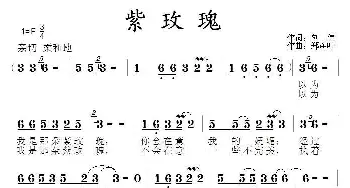 紫玫瑰_通俗唱法乐谱_词曲:刘伟 郑连叶