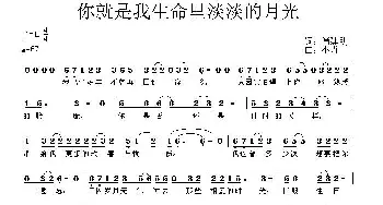 你就是我生命里淡淡的月光_通俗唱法乐谱_词曲:肖建明 小卉