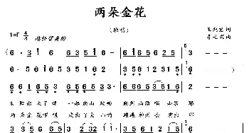 两朵金花_通俗唱法乐谱_词曲:王兆君 李士兴