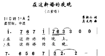 在这新婚的夜晚_通俗唱法乐谱_词曲:季新山 吴太邦