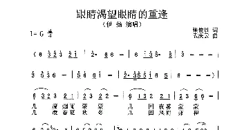 眼睛渴望眼睛的重逢_通俗唱法乐谱_词曲:张俊以 孟庆云