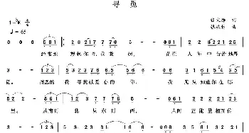 寻觅_通俗唱法乐谱_词曲:张文雅 张从林