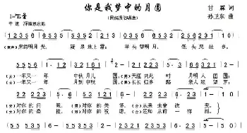 你是我梦中的月圆_通俗唱法乐谱_词曲:甘霖 孙卫东