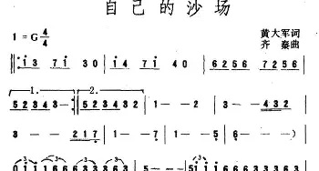 自己的沙场_通俗唱法乐谱_词曲:黄大军 齐秦