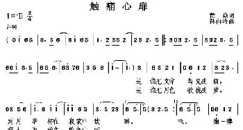 触痛心扉_通俗唱法乐谱_词曲:黄焱 孙向岭