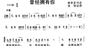 曾经拥有你_通俗唱法乐谱_词曲:林垂直 林垂直