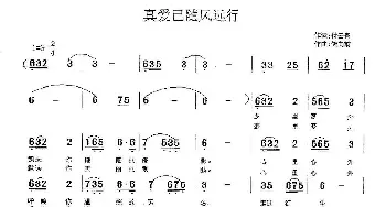 真爱随风远行_通俗唱法乐谱_词曲:付云青 储向前