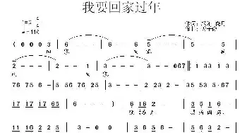 我要回家过年_通俗唱法乐谱_词曲:笨笨 晓月 天子俊