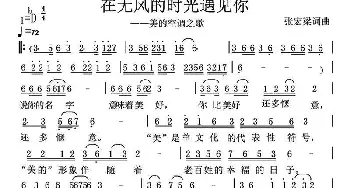 在无风的时光遇见你_通俗唱法乐谱_词曲:张宏梁 张宏梁