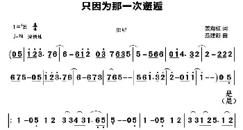 只因为那一次邂逅_通俗唱法乐谱_词曲:姜海红 聂建新