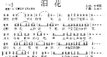 泪花_通俗唱法乐谱_词曲:于秀莲 白雁冰