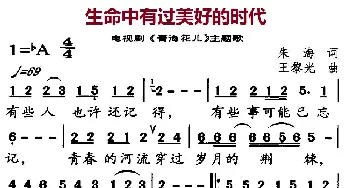 生命中有过美好的时代_通俗唱法乐谱_词曲:朱海 王黎光