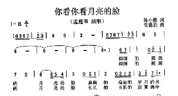 你看你看月亮的脸_通俗唱法乐谱_词曲:陈小霞 安德烈