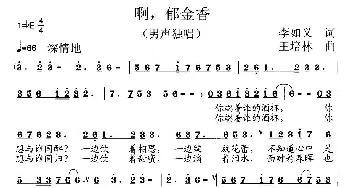 啊，郁金香_通俗唱法乐谱_词曲:李如义 王培林