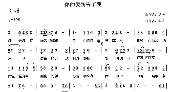 你的爱伤害了我_通俗唱法乐谱_词曲:荣荣 刘剑华