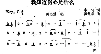 我知道伤心是什么_通俗唱法乐谱_词曲:小轩 谭健常