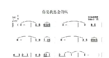 你是我思念的风_通俗唱法乐谱_词曲:张艳惠 小河