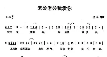 老公老公我爱你_通俗唱法乐谱_词曲: