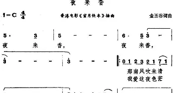 夜来香_通俗唱法乐谱_词曲:金玉谷 金玉谷