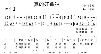 真的好孤独_通俗唱法乐谱_词曲:邓永旺 刘乐权