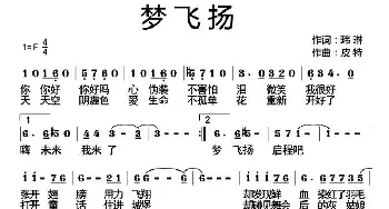 梦飞扬_通俗唱法乐谱_词曲:玮琳 皮特