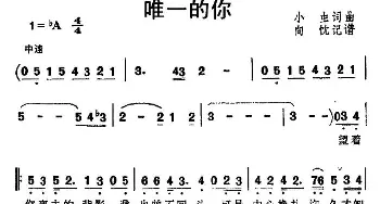 唯一的你_通俗唱法乐谱_词曲:小虫 小虫