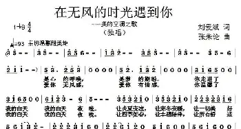 在无风的时光遇见你_通俗唱法乐谱_词曲:刘爱斌 张朱论