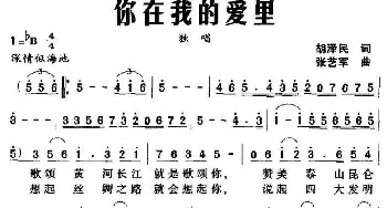 你在我的爱里_美声唱法乐谱_词曲:胡泽民 张艺军