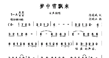 梦中雪飘来_美声唱法乐谱_词曲:陈道斌 胡廷江