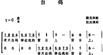 白鸽 _外国歌谱_词曲:欣友填词